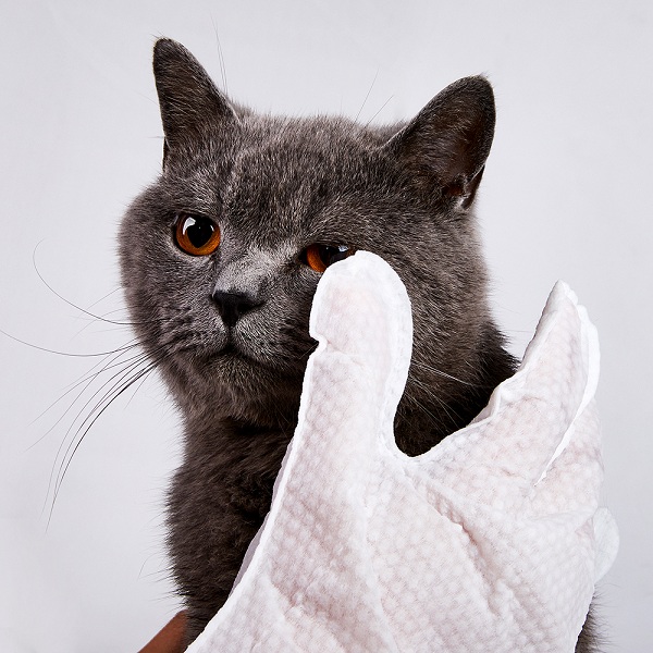 Cleaning Grooming Gloves